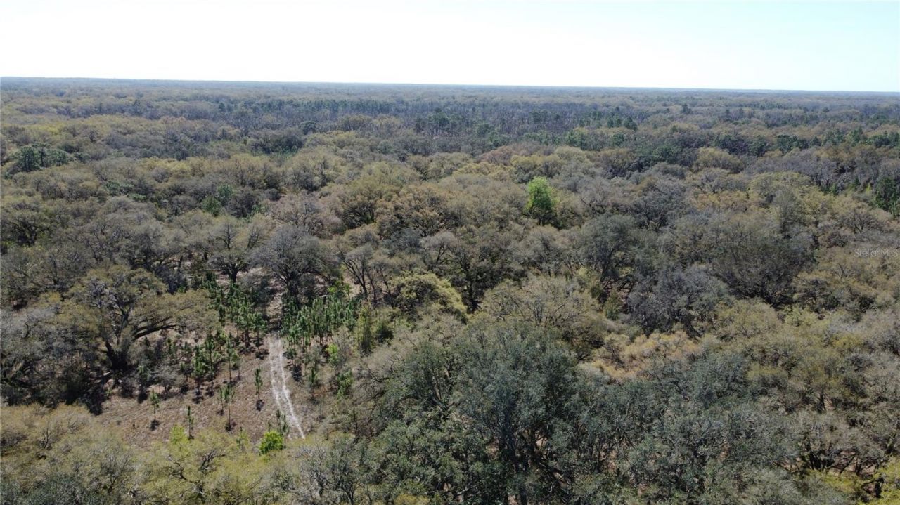 01 Unnamed, Spring Hill, FL 34610 Photo