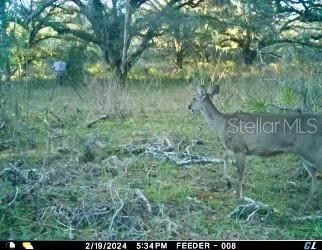 01 Unnamed, Spring Hill, FL 34610 Photo