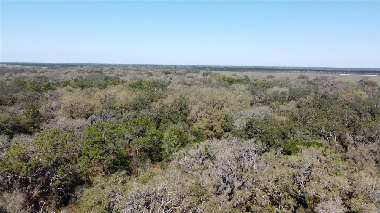 01 Unnamed, Spring Hill, FL 34610 Photo
