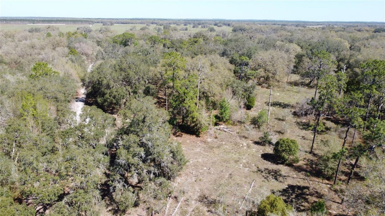 01 Unnamed, Spring Hill, FL 34610 Photo