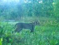 01 Unnamed, Spring Hill, FL 34610 Photo