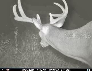 01 Unnamed, Spring Hill, FL 34610 Photo