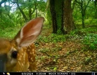 01 Unnamed, Spring Hill, FL 34610 Photo