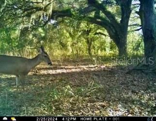 01 Unnamed, Spring Hill, FL 34610 Photo