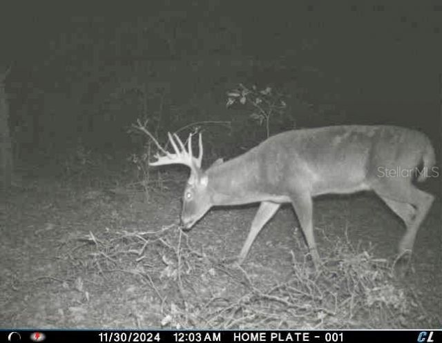 01 Unnamed, Spring Hill, FL 34610 Photo