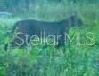 01 Unnamed, Spring Hill, FL 34610 Photo
