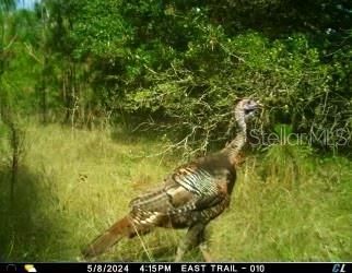 01 Unnamed, Spring Hill, FL 34610 Photo