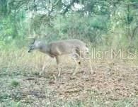 01 Unnamed, Spring Hill, FL 34610 Photo