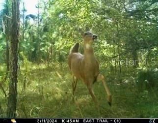 01 Unnamed, Spring Hill, FL 34610 Photo