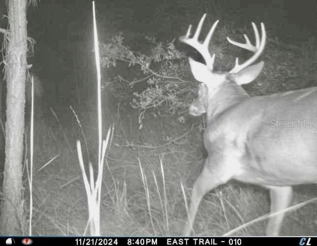 01 Unnamed, Spring Hill, FL 34610 Photo