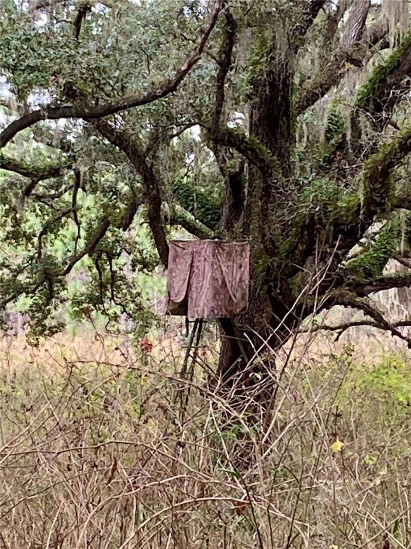 01 Unnamed, Spring Hill, FL 34610 Photo