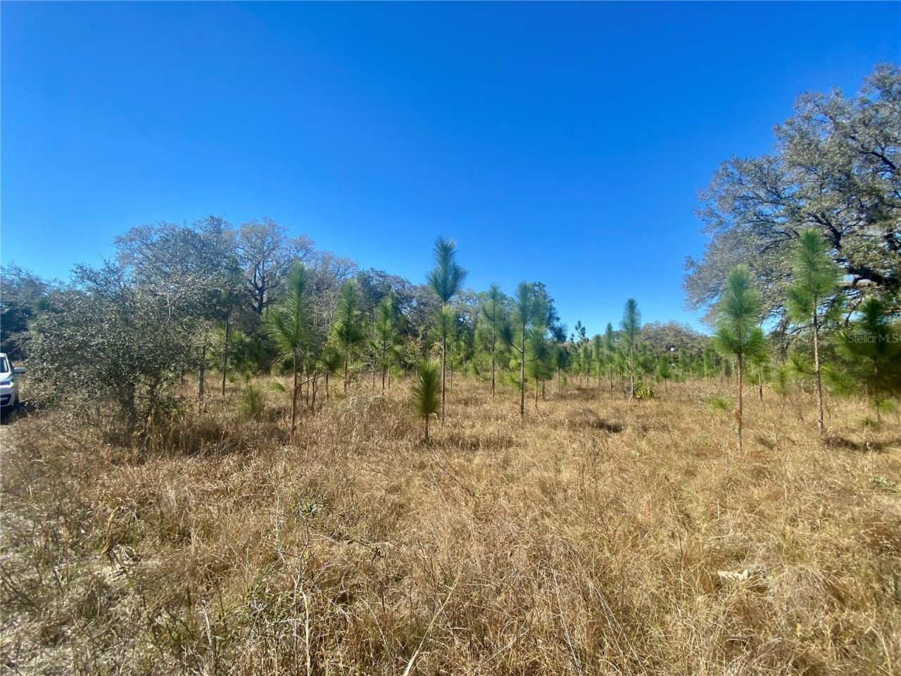 01 Unnamed, Spring Hill, FL 34610 Photo