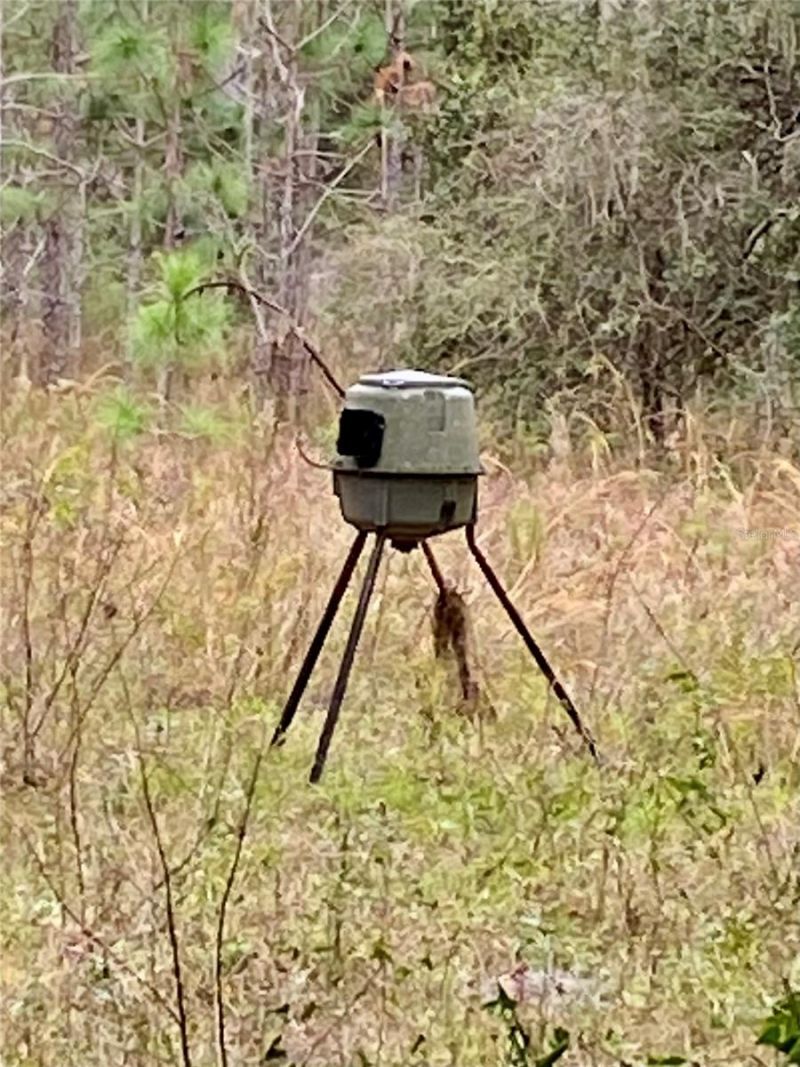 01 Unnamed, Spring Hill, FL 34610 Photo