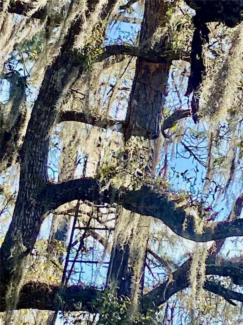 01 Unnamed, Spring Hill, FL 34610 Photo