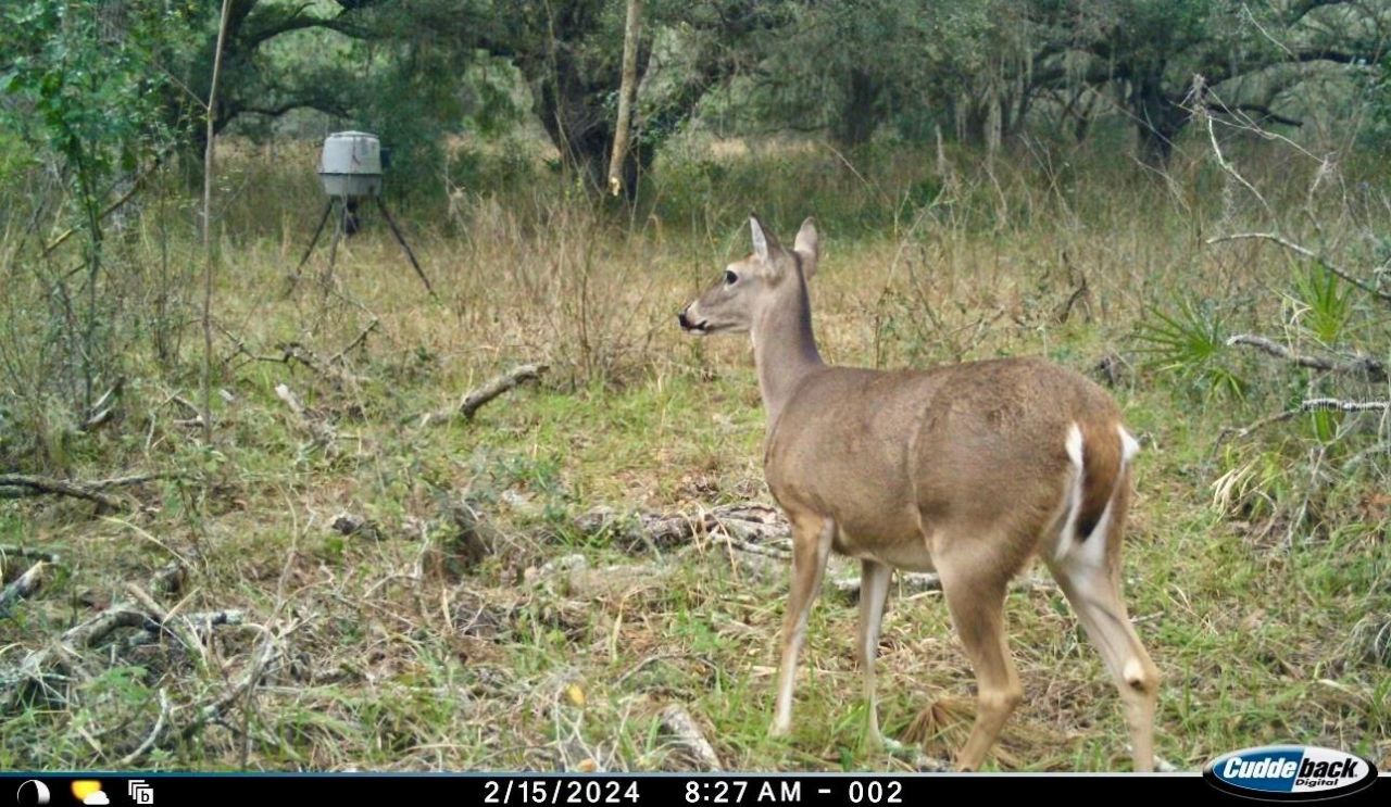 01 Unnamed, Spring Hill, FL 34610 Photo