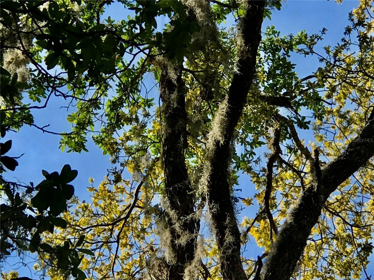 01 Unnamed, Spring Hill, FL 34610 Photo