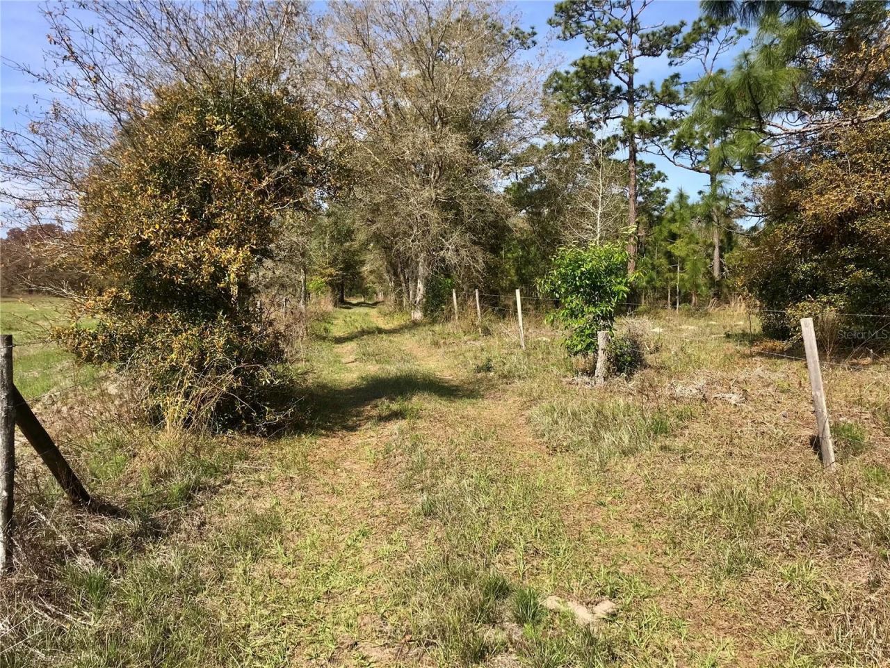 01 Unnamed, Spring Hill, FL 34610 Photo