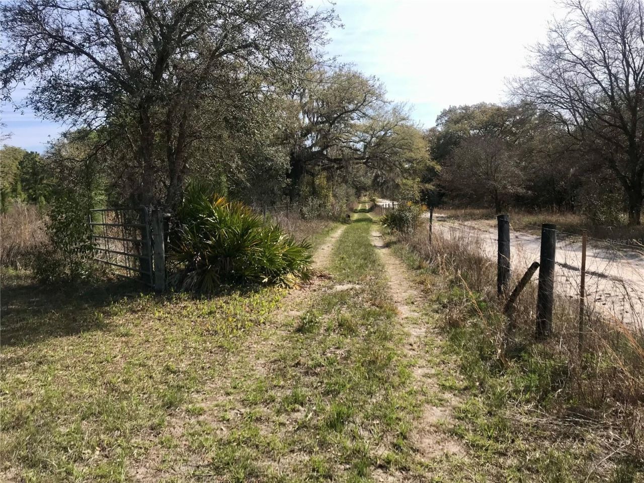 01 Unnamed, Spring Hill, FL 34610 Photo