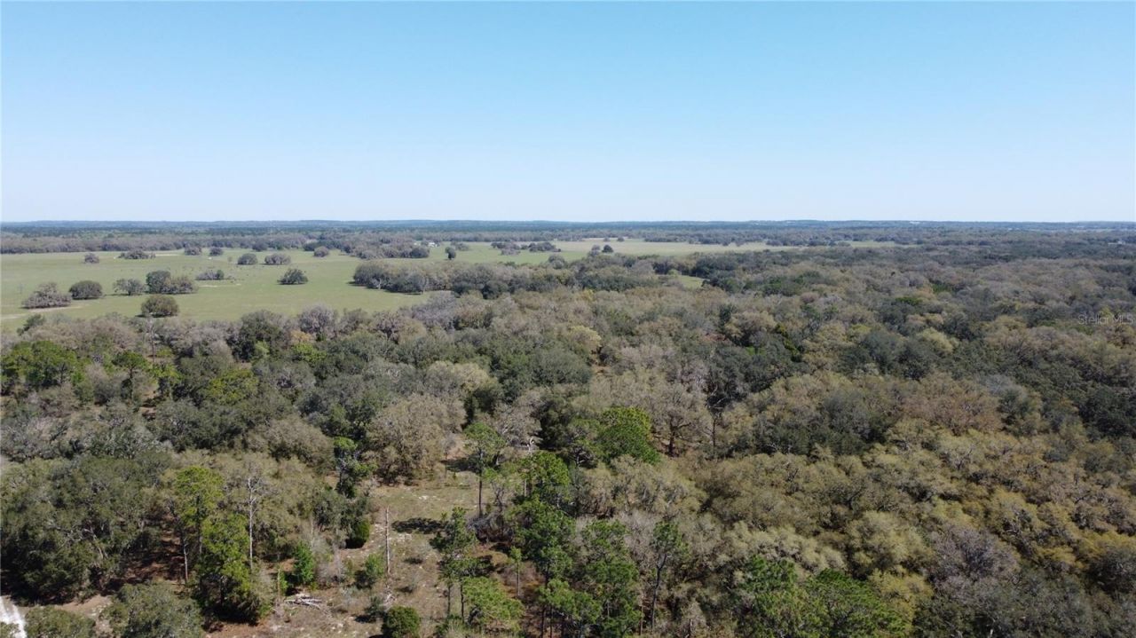 01 Unnamed, Spring Hill, FL 34610 Photo