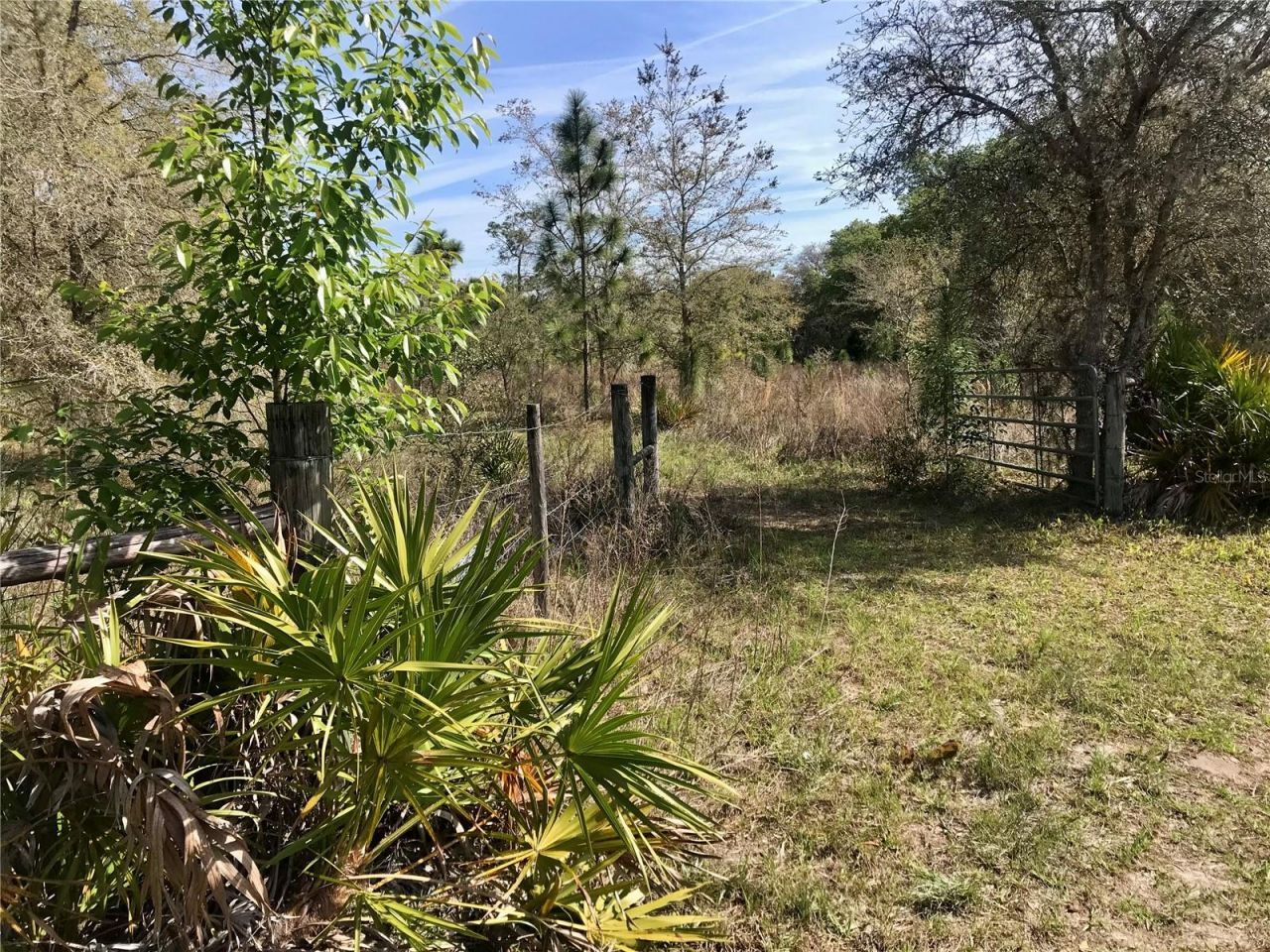 01 Unnamed, Spring Hill, FL 34610 Photo