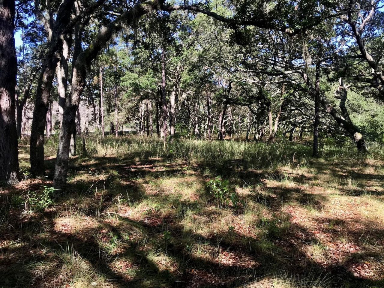 01 Unnamed, Spring Hill, FL 34610 Photo