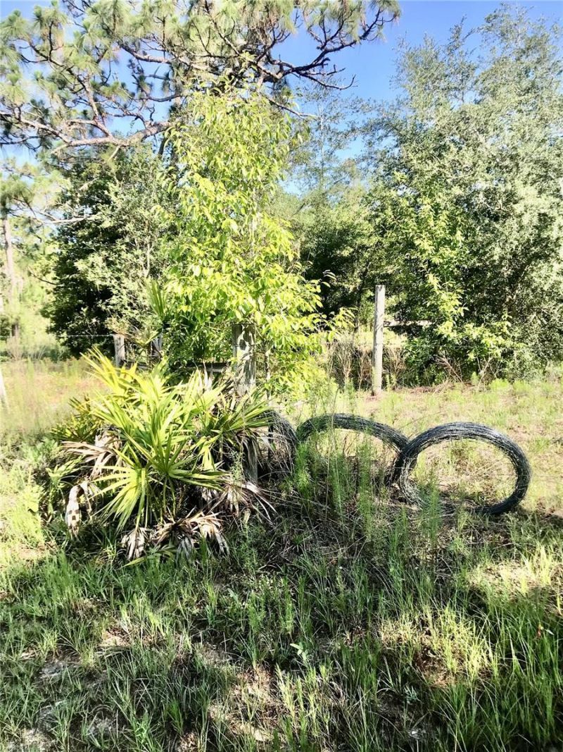 01 Unnamed, Spring Hill, FL 34610 Photo