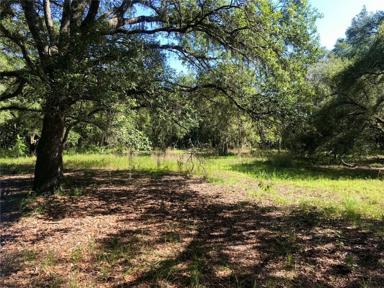 01 Unnamed, Spring Hill, FL 34610 Photo