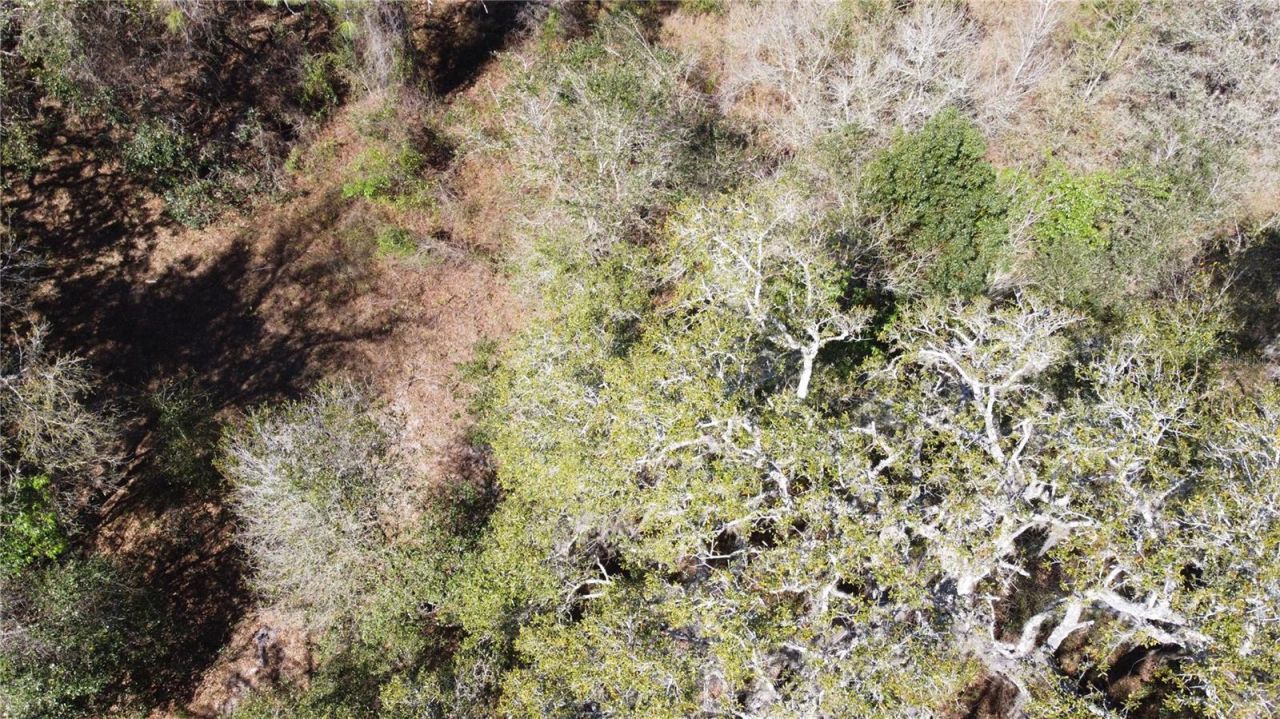 01 Unnamed, Spring Hill, FL 34610 Photo