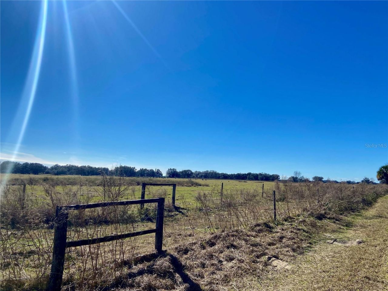 01 Unnamed, Spring Hill, FL 34610 Photo