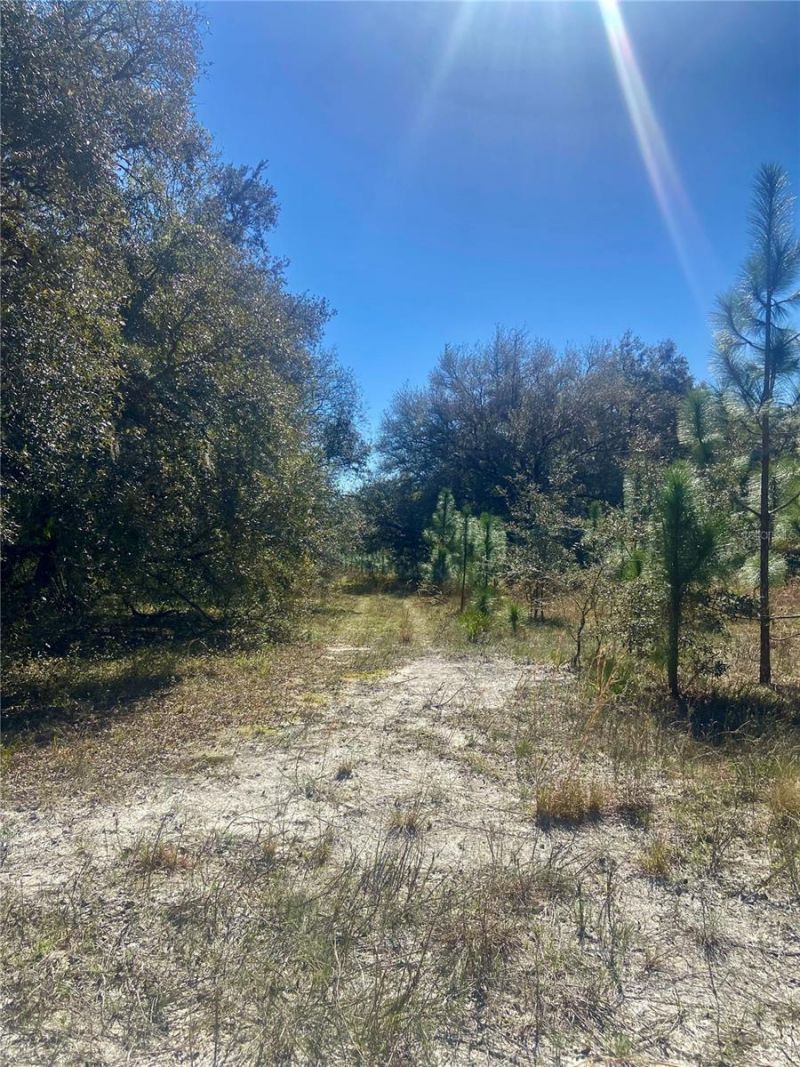 01 Unnamed, Spring Hill, FL 34610 Photo