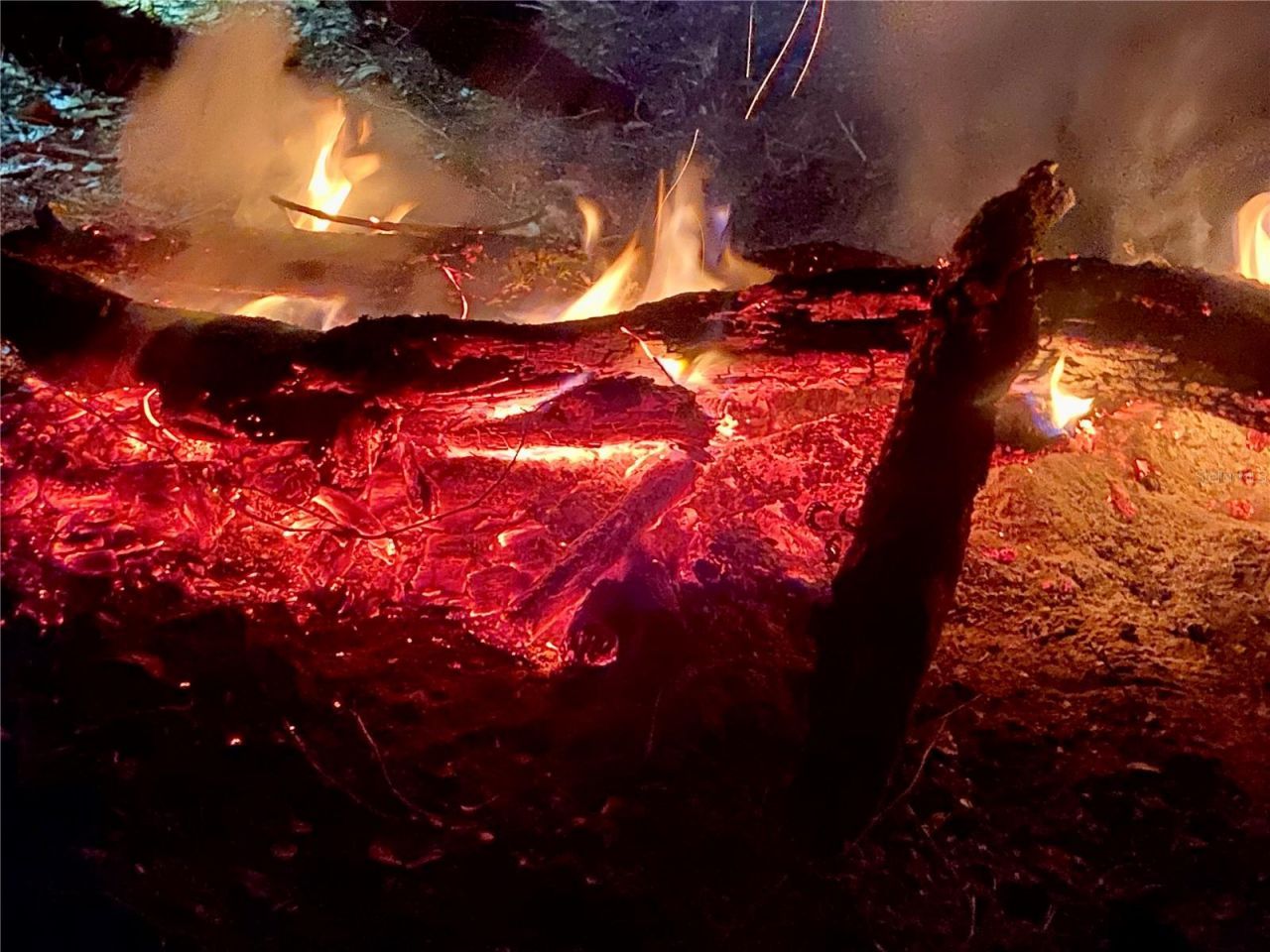 01 Unnamed, Spring Hill, FL 34610 Photo