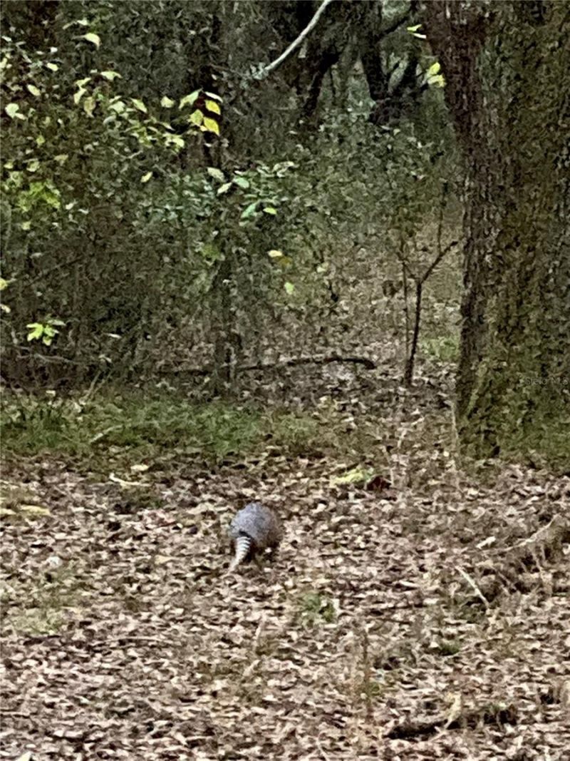 01 Unnamed, Spring Hill, FL 34610 Photo