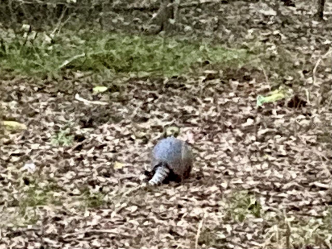 01 Unnamed, Spring Hill, FL 34610 Photo