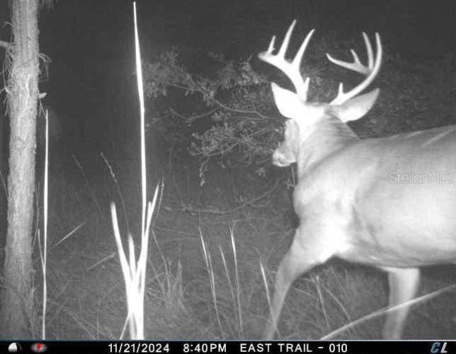 01 Unnamed, Spring Hill, FL 34610 Photo