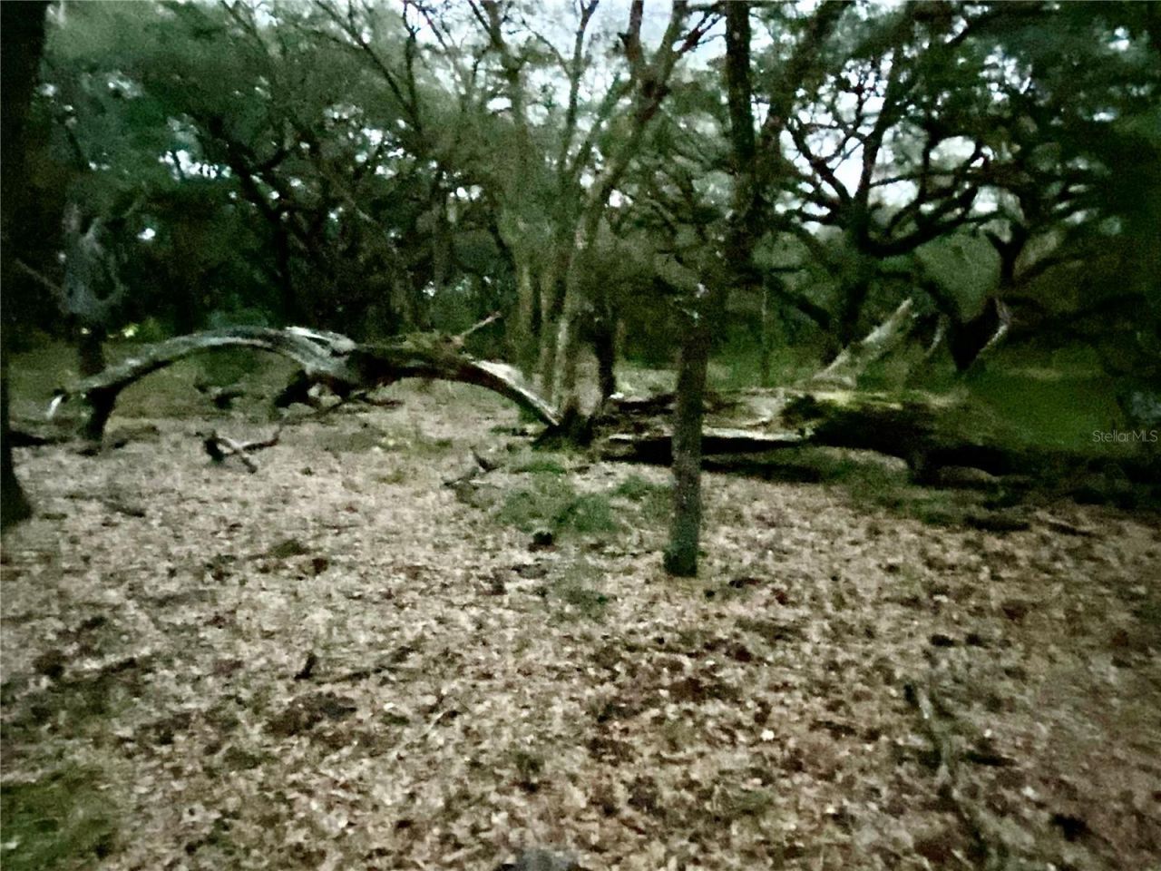 01 Unnamed, Spring Hill, FL 34610 Photo