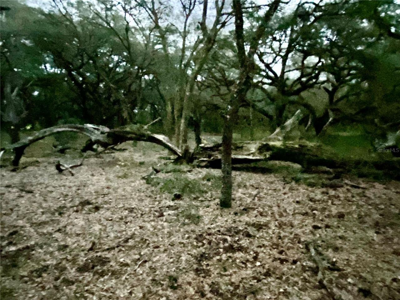 01 Unnamed, Spring Hill, FL 34610 Photo