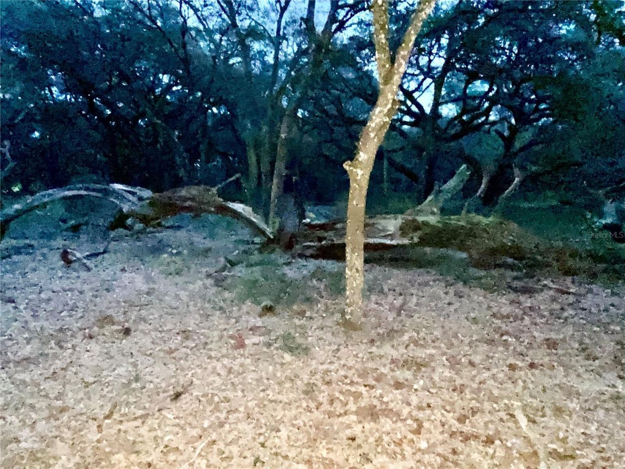 01 Unnamed, Spring Hill, FL 34610 Photo