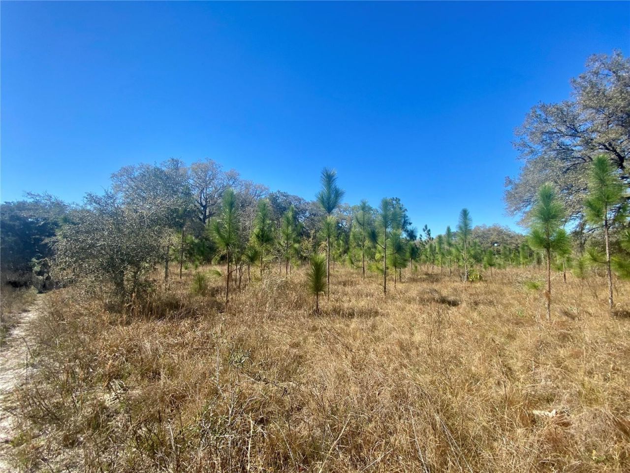 01 Unnamed, Spring Hill, FL 34610 Photo