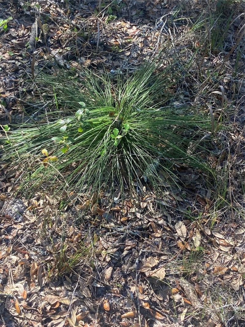 01 Unnamed, Spring Hill, FL 34610 Photo