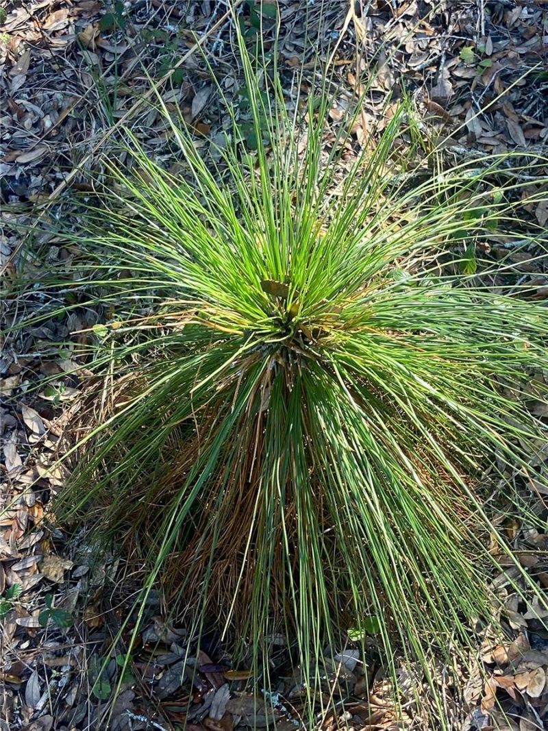 01 Unnamed, Spring Hill, FL 34610 Photo
