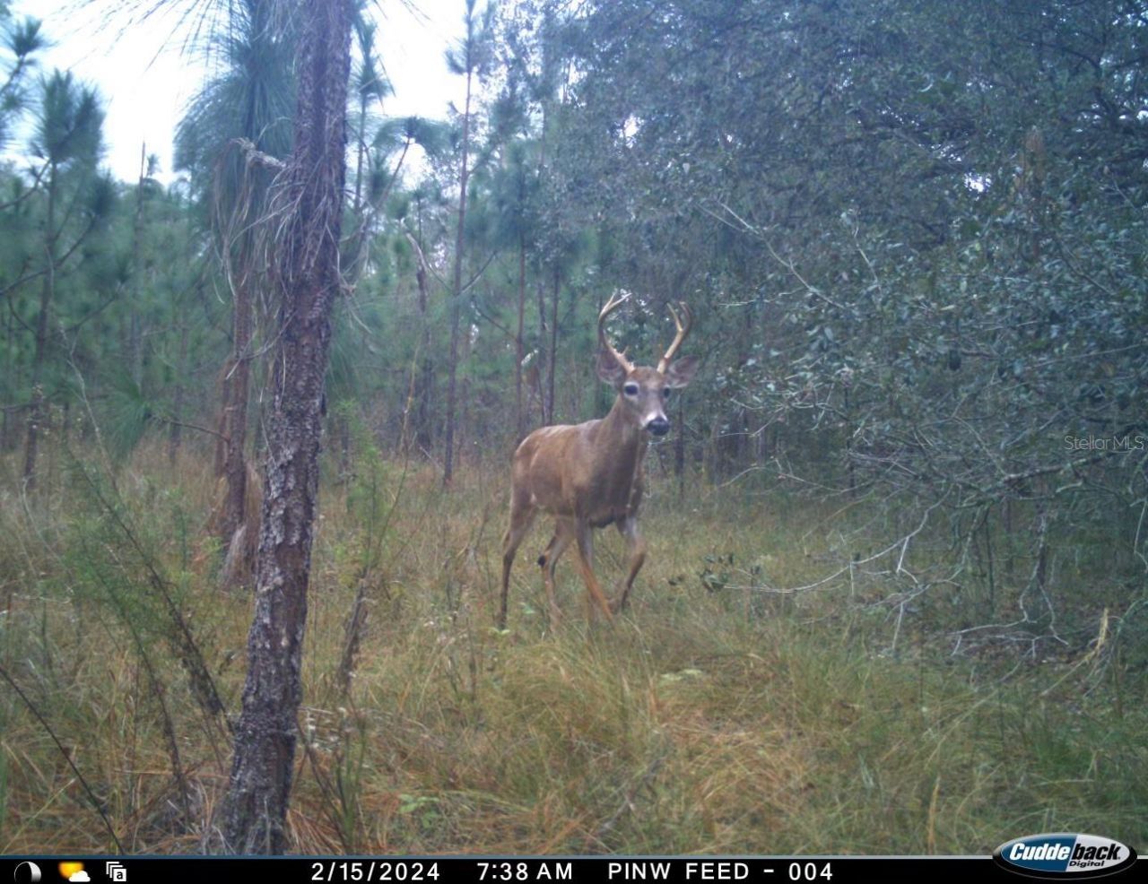 01 Unnamed, Spring Hill, FL 34610 Photo