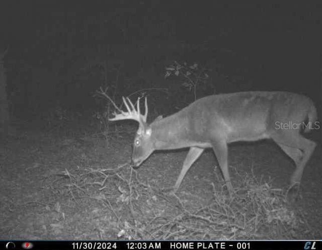 01 Unnamed, Spring Hill, FL 34610 Photo