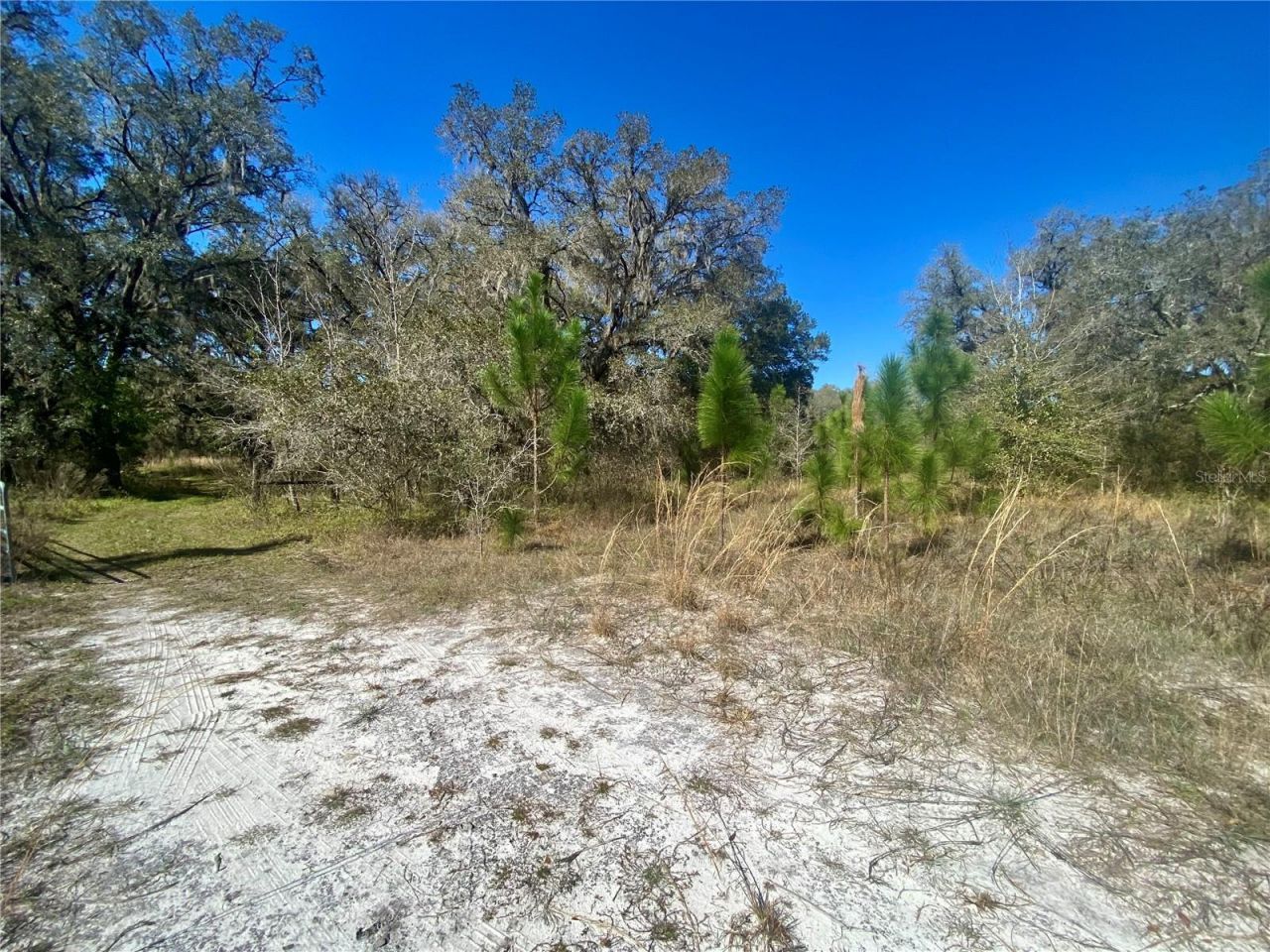 01 Unnamed, Spring Hill, FL 34610 Photo