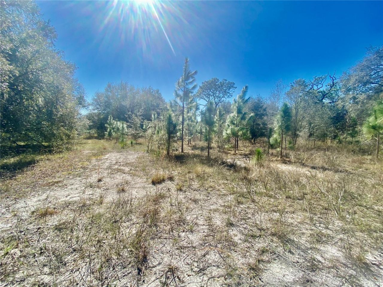 01 Unnamed, Spring Hill, FL 34610 Photo