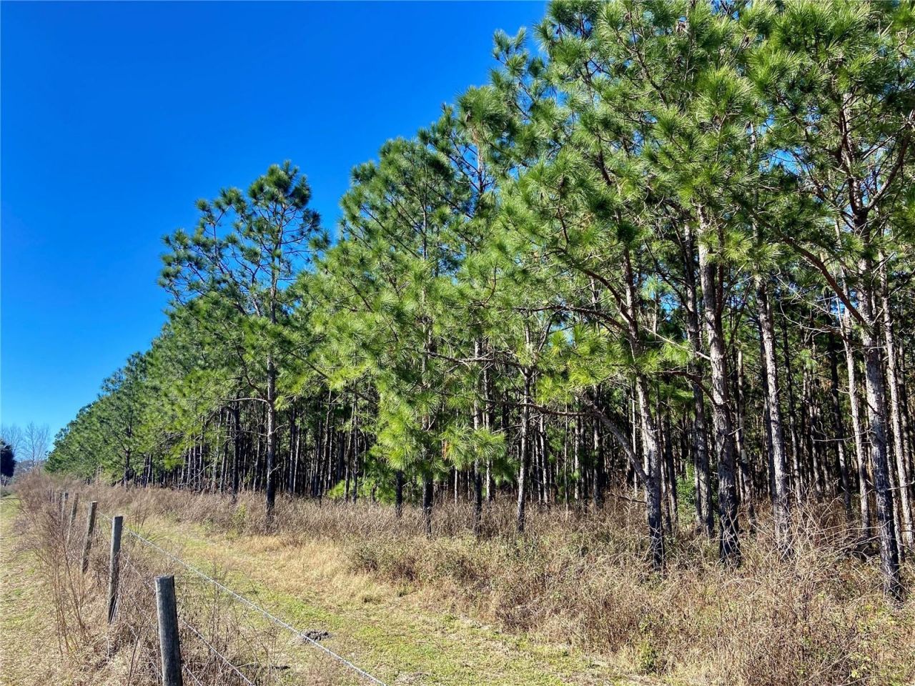 01 Unnamed, Spring Hill, FL 34610 Photo