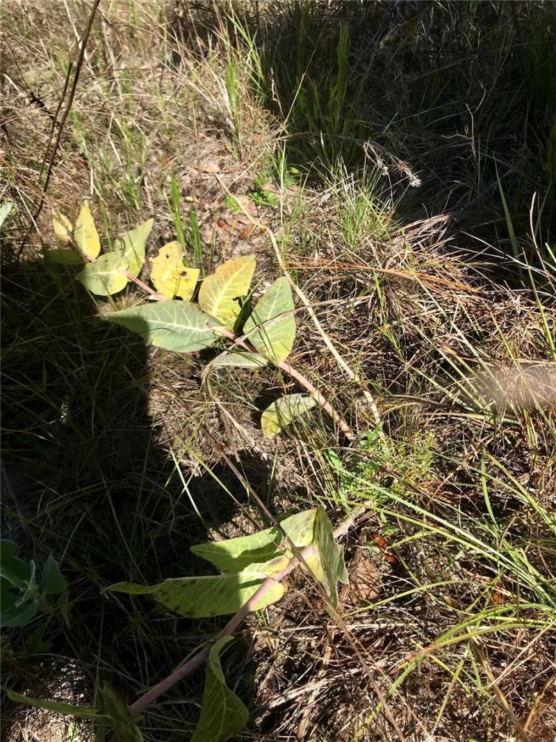 01 Unnamed, Spring Hill, FL 34610 Photo