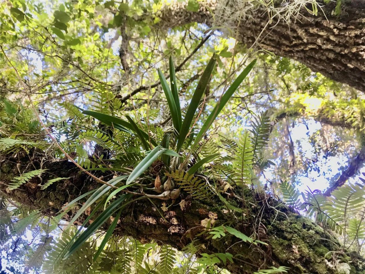 01 Unnamed, Spring Hill, FL 34610 Photo