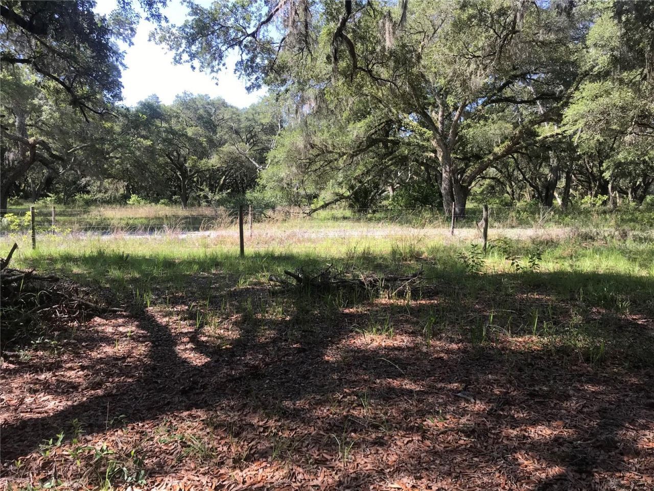 01 Unnamed, Spring Hill, FL 34610 Photo