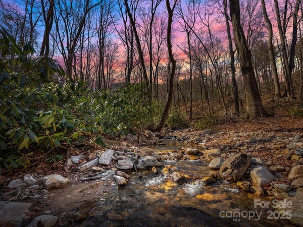 000 Stafford Lane S, Mill Spring, NC 28756