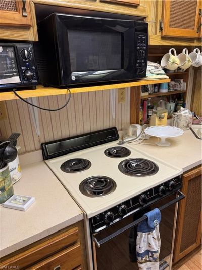 10848 Bonapartes Gull, Estero, FL 33928 Photo